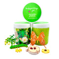 Butterfly & Bug Playdough Sensory Kit