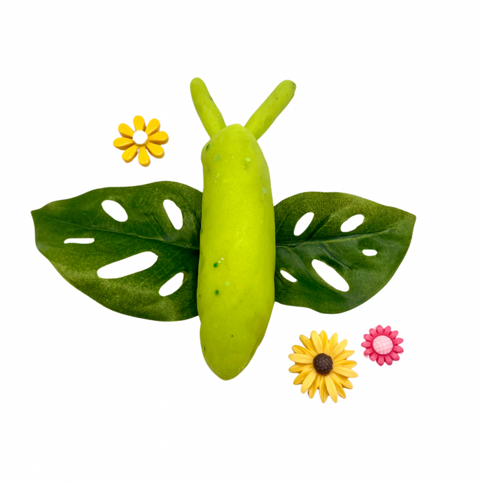 Butterfly & Bug Playdough Sensory Kit