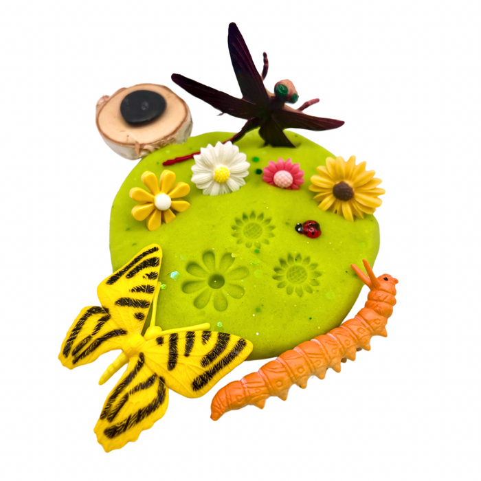 Butterfly & Bug Playdough Sensory Kit