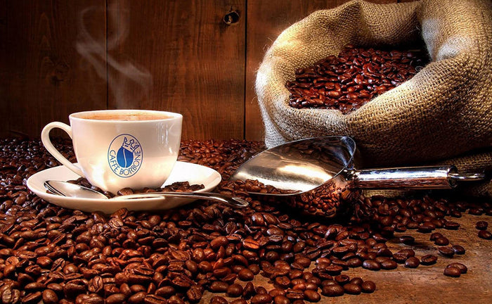 Caffe Borbone Espresso Capsules (Miscela Red) 100/CS