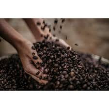 Caffe’ Vergnano / 100% Arabica Drip Coffee 2.2lb Medium Roast ( Case of 6-Packs 1-Kg Each)