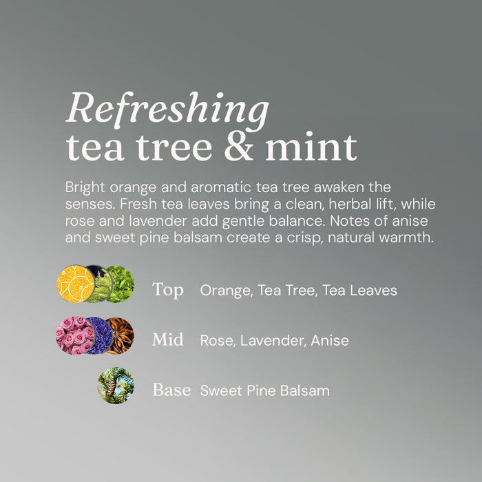 Clarifying Shampoo - Refreshing Tea Tree + Mint - Bulk Refill