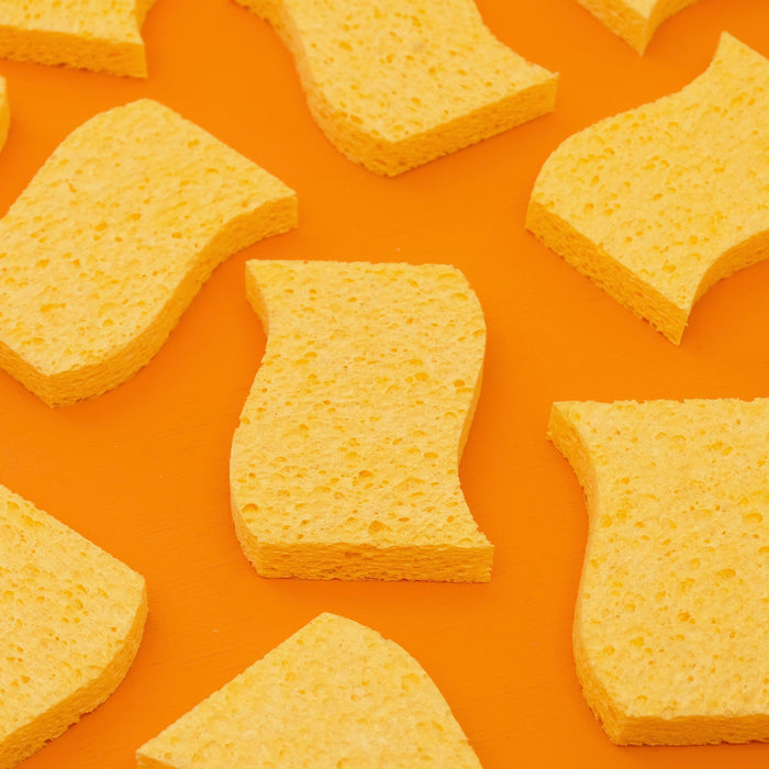 ECO SPONGES - 2 PACK