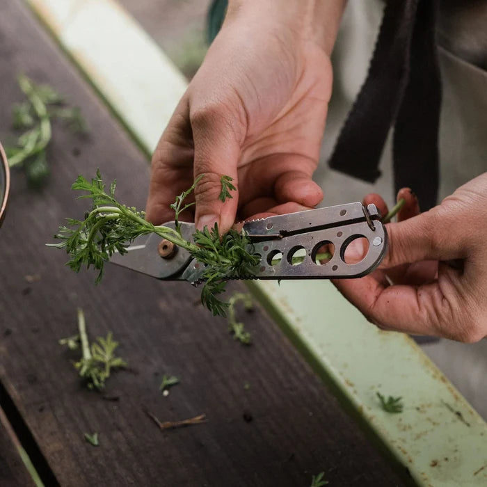 HERB HARVEST & STRIP TOOL