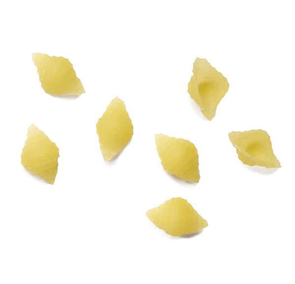 Riscossa Cocciolette Small Shells #41 1-Lb. (12-Pack Case)