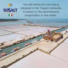 SoSalt Fine Sicilian Sea Salt 10-kilo Package