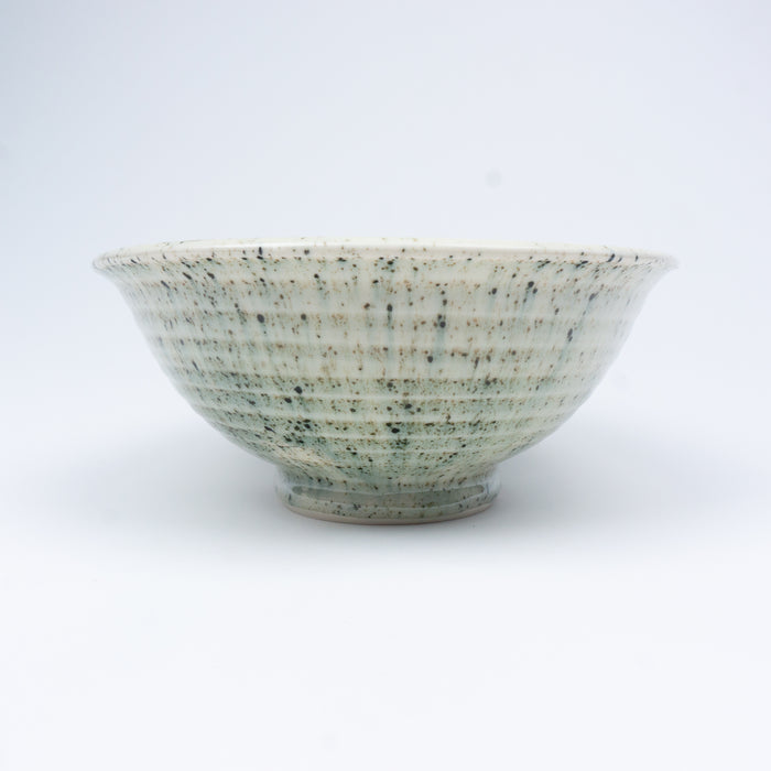 Splatterware Fancy Everyday Bowl
