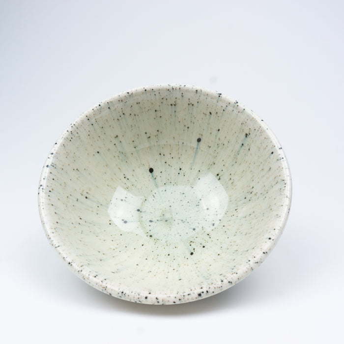 Splatterware Fancy Everyday Bowl
