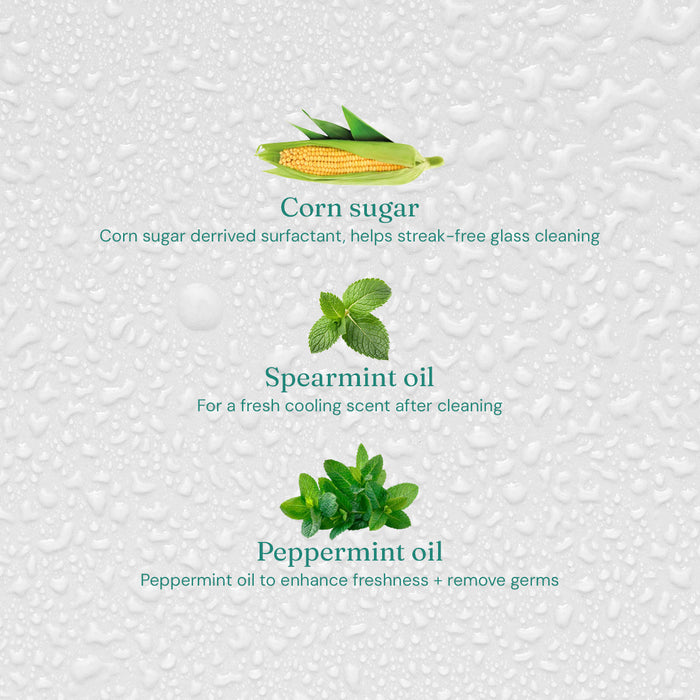 Window + Glass Cleaner - Refreshing Mint - Bulk Refill
