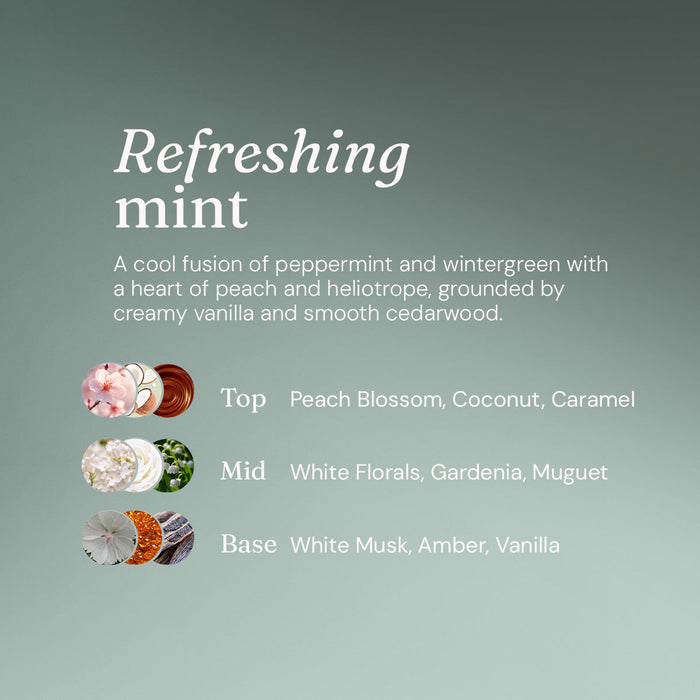 Window + Glass Cleaner - Refreshing Mint - Bulk Refill